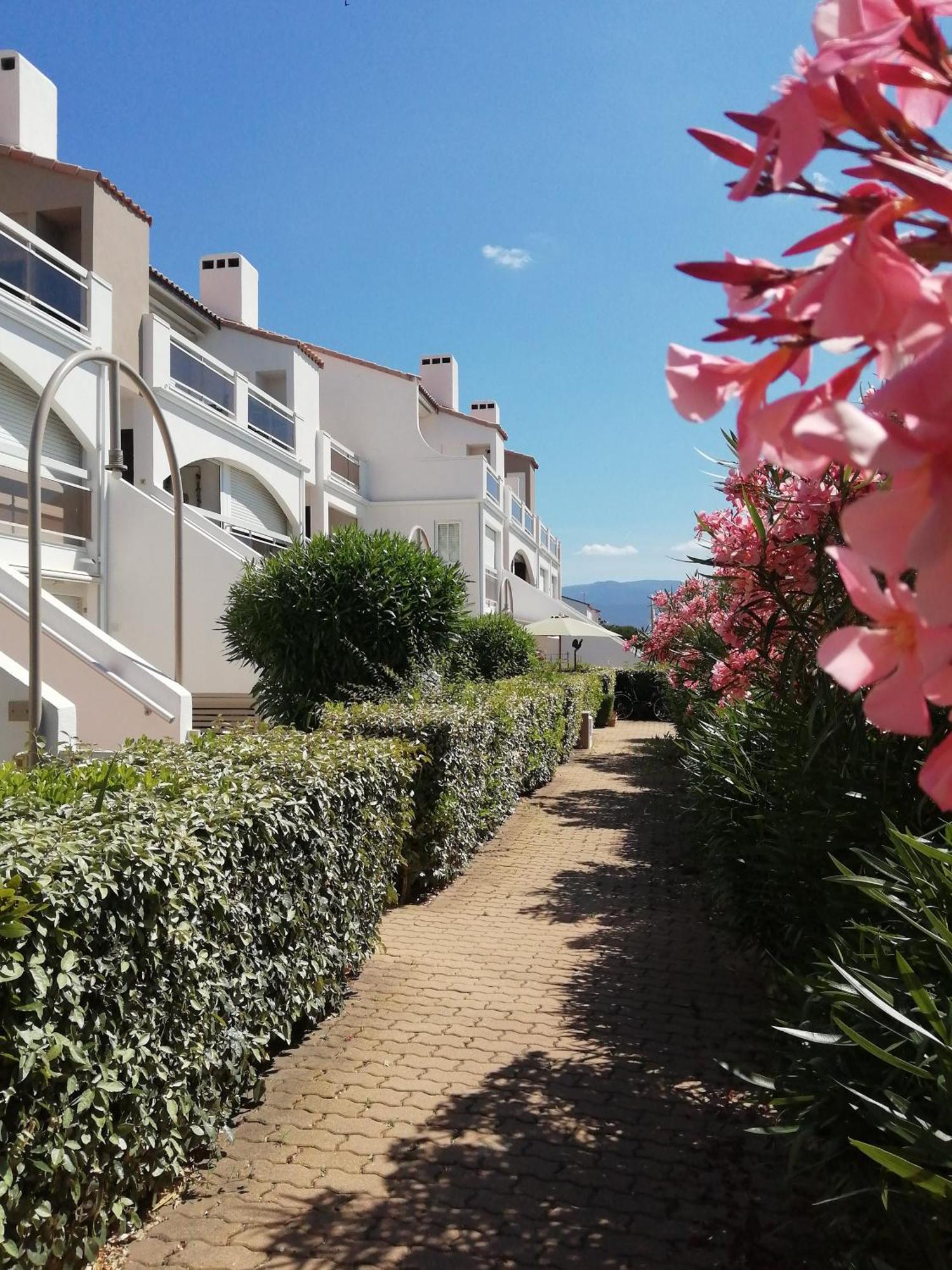 Vue Lagune Et Bateaux A 100M De La Plage Saint-Cyprien  Exterior foto